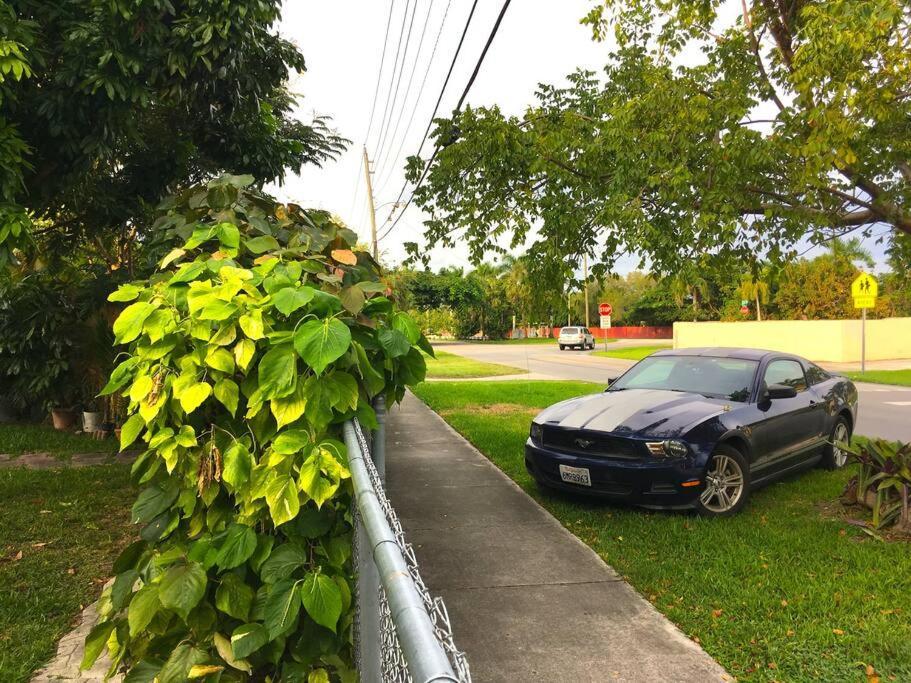 Miami Bungalow Oasis Near Everglades & The Keys Cutler Bay Eksteriør billede