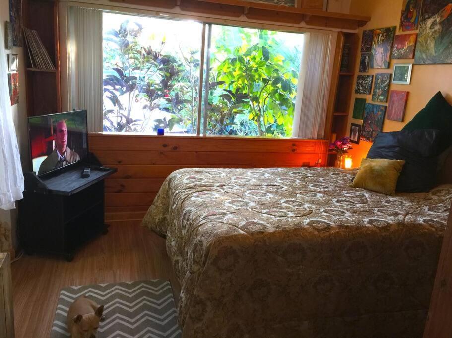 Miami Bungalow Oasis Near Everglades & The Keys Cutler Bay Eksteriør billede