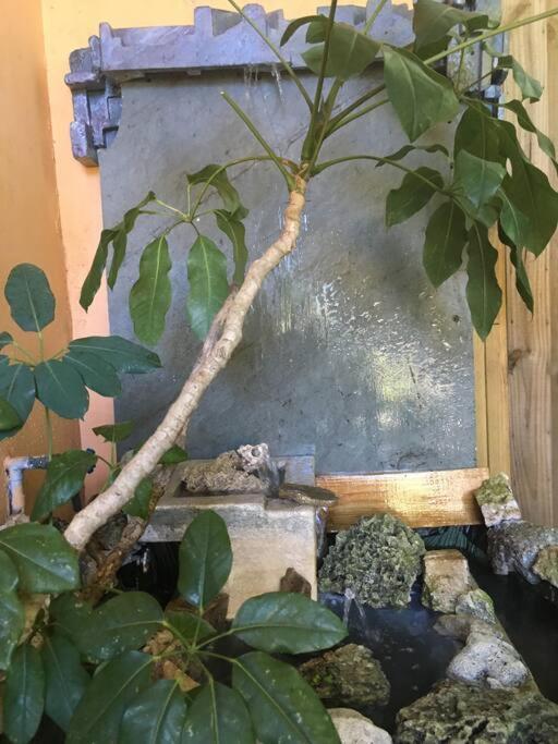 Miami Bungalow Oasis Near Everglades & The Keys Cutler Bay Eksteriør billede