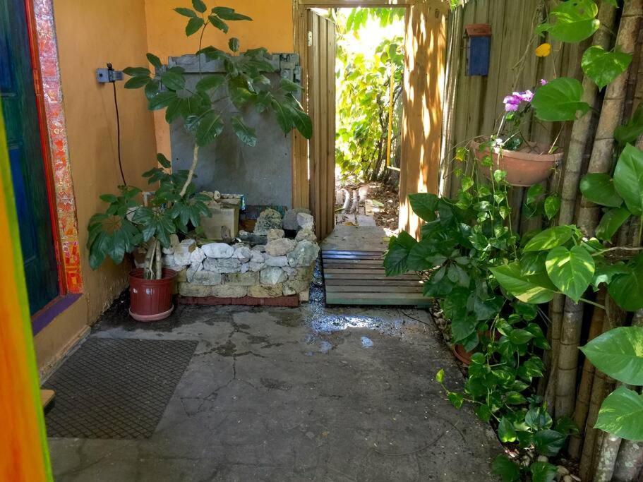 Miami Bungalow Oasis Near Everglades & The Keys Cutler Bay Eksteriør billede
